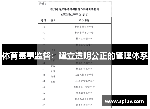 体育赛事监督：建立透明公正的管理体系