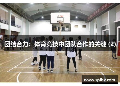 团结合力：体育竞技中团队合作的关键 (2)