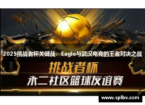 2025挑战者杯关键战：Eagle与武汉电竞的王者对决之战