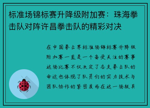 标准场锦标赛升降级附加赛：珠海拳击队对阵许昌拳击队的精彩对决